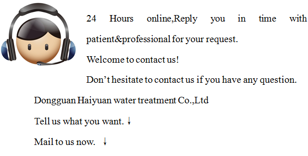 SGS EDI Water Treatment System , electrodeionization water purification systems