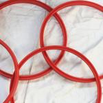 PU Customized Large Hydraulic Cylinder Sealing Ring for High Pressure Applicatio