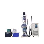 Double Layer Glass 1 Liter Chemical Glass Reactor