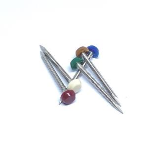 Quality Annular Ring Shank Plastic Head Nails / Pins wholesale