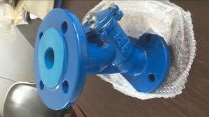 Quality DIN Y strainer Flanged ends wholesale