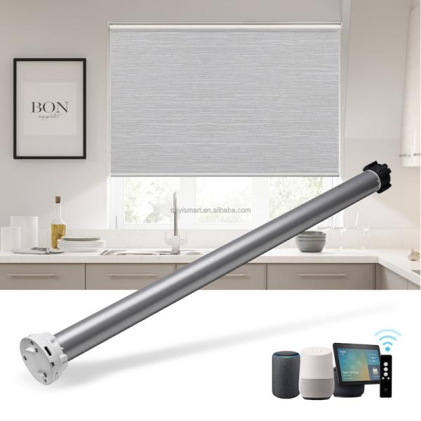 Hard Wired 12V DC 2 Wire Smart Curtain Motor Electric Roller Blind/Shade Tubular