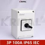 3P 100A IP65 230-440V Waterproof Changeover Switch IEC standard
