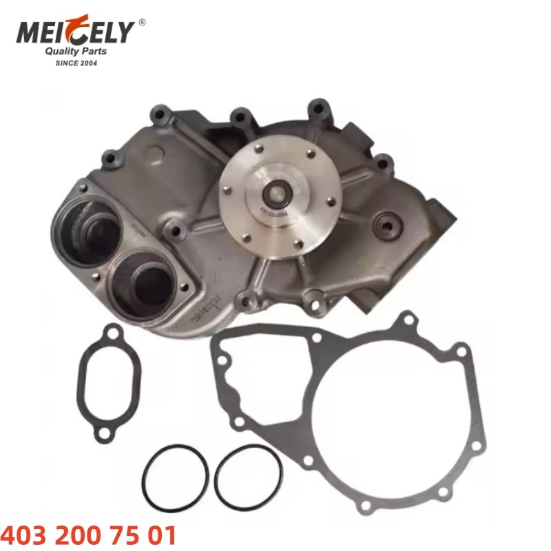 High-Quality Water Pump Engine Parts 4222001001 / 4222001101 For Merceds-Benz