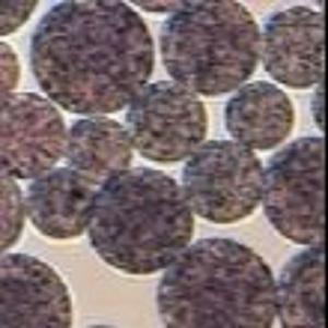 Quality Agarose NHS Magnetic Beads Preactivated N - Hydroxy Succinimide Nanoparticle wholesale