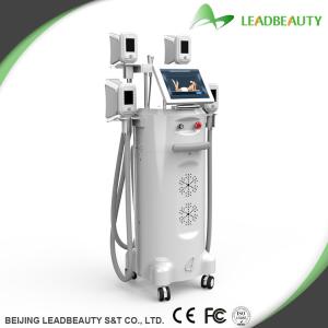 Quality 4 handles cryolipolysis machine with good quality wholesale