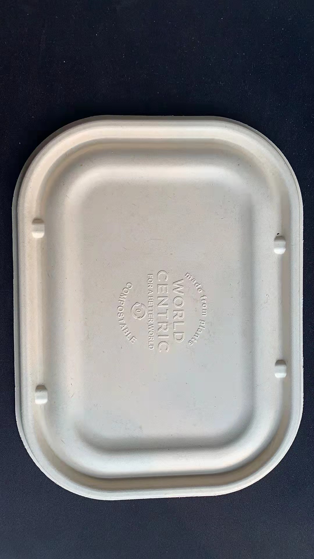 New 100% Biodegradable Sushi Lunch Box For European And Janpanese Maekrting With SGS Certification