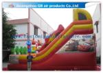 Childrens Outdoor Inflatable Combo Bouncers , Bouncy Castle Slide Play Equipment