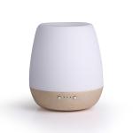 Ceramic 15ml/H Aromatherapy Essential Oil Diffuser 180ml