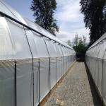 Tunnel Film Automatic Blackout Greenhouse Hydroponic American Agriculture Light