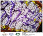 Garlic to Philippines with mesh bag