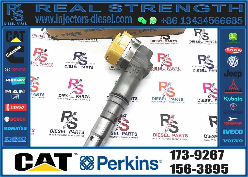 Excavator Parts 3116 Engine Injector 0R-8483 0R-3002 0R-8477 0R-3190 0R-8473 4P-2995 Fuel Injector For Excavator