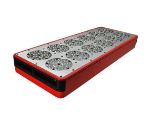 Quality 630nm Red 460nm Blue 600x300 LED grow light 300w wholesale
