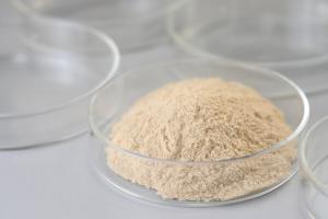 Quality Good Mid Solubility Temp Amylase Used In Baking Fermentation Industry wholesale