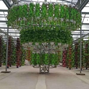 Quality Temporary Heating Hydroponic Film Greenhouse with Humidity Control System JX-FG-212 wholesale