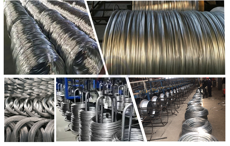 Competitive Produce Spring Steel Grade Hot Dipped Galvanized Wire for Barbed Wire Chain Link Fence Welded Wire Hexagonal Mesh