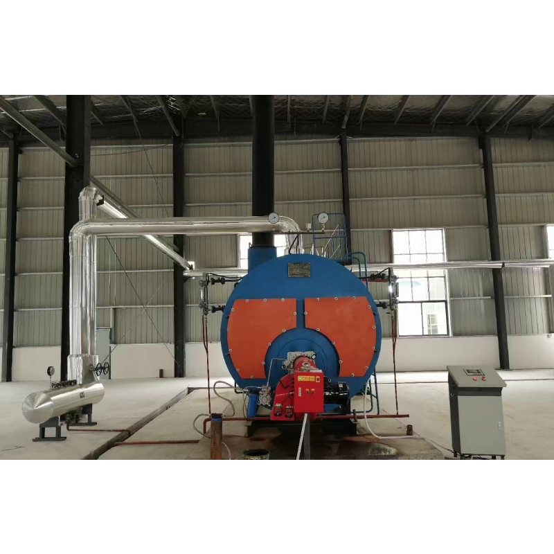 Diesel Chicken Slaughter Steam Boiler For Heating Customized Dimension