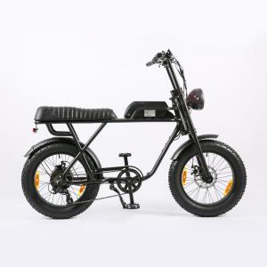 Quality 48V 1000W Fat Tyre Adult Electric Bicycle Vintage Mountain E Bike with 20 Inch Wheel wholesale