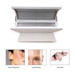 2200W Infrared Skin Rejuvenation Bed