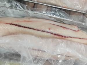Quality 2kg Sail Fish IQF Freezing Seafood HGT Frozen Marlin bone wholesale