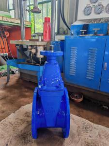 Quality F4 Resilient Wedge Gate Valve With Epoxy Coating Flange End Connection CE ISO Certified wholesale