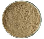 Honeysuckle Flower Plant Extracts Chlorogenic Acid 5% Anti Virus