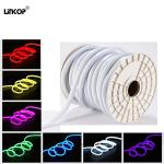 Flexible Led Neon Light Rgb for Outdoor Waterproof 220v 10*20 Lighting Sign
