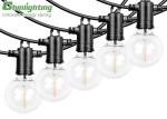 Hanging 240V Festoon IP65 Detachable G40 Bulb LED Lights