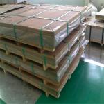 INOX 202 Stainless Steel Sheets 8x4