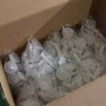 Plastic Insulation Fastener Insulation Fastening Nail Heat Insulators Materials