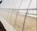 Malla Insect Protection Netting Mosquito Nets Windbreaks ISO 9001 Standard