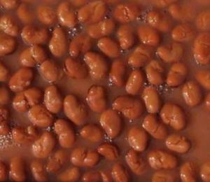 Quality Canned Broad Beans wholesale