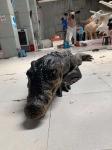 Interactive Realistic Crocodile Costume For Amusement Park