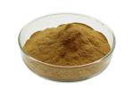 Owering Blood Pressure Ginkgo Biloba Bulk Powder