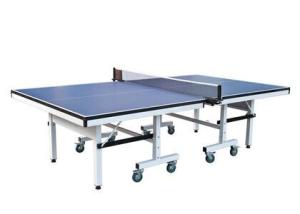 Quality Professional Competition Table Tennis Table Single Folding For Physical Training wholesale