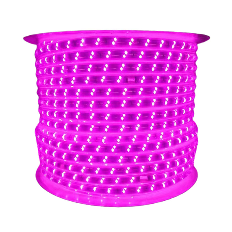 110v-220v LED Strip Light 100m/roll 50m/roll With Connector And 85 Ra Copper Material