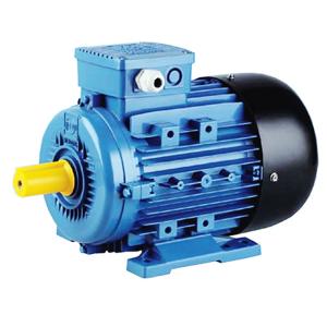 Quality Aluminum 1.5KW IE2 2970r/min Asynchronous Induction Motor wholesale