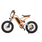 48V Electric Bike with 13Ah Battery 750W 1000W Motor 7 Speed 20" Tire and 180KG