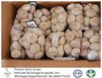 2018 China fresh garlic export to Brazil