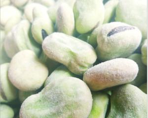 Quality High Protein Fresh frozen Broad Beans Natural Green Foods For Supermarket wholesale