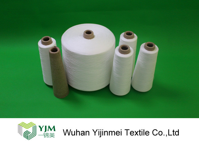 Knotless 100% Polyester Twisted Yarn On Paper Core / Plastic Tube For Garment