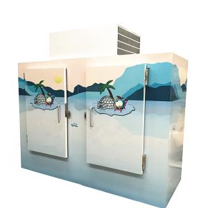 Quality Direct cooling ice merchandiser / Outdoor ice storage bin wholesale