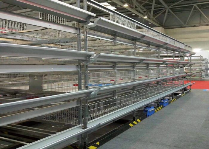 High Efficiency Baby Chick Cage Poultry House Highly Corrosion Resistant