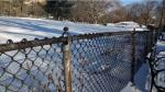 chain link wire mesh fence 50mm x 50mm hot dipped galvanized chain wire tension