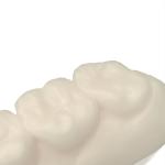 Safety Durable Opposite Jaw Model Resin