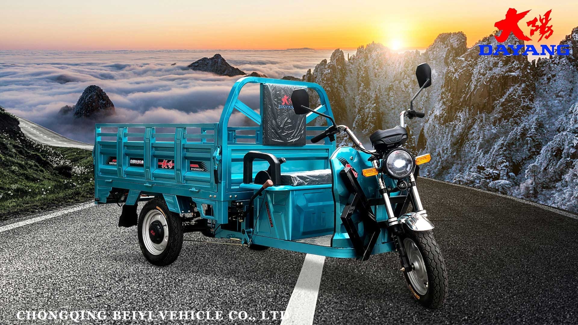 800W Electric Tricycle Cargo Bike for Cargo Transport Efficiency and Reliability