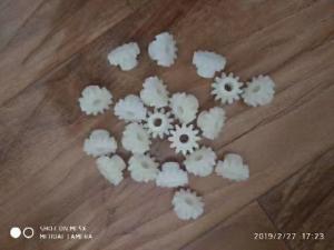 Quality Doli Minilab Spare Part Gear 12 Teeth wholesale