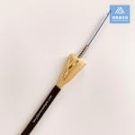 Simplex SM Stainless Steel Armored Fiber Patch Cable 5.0mm Black LSZH Aramid
