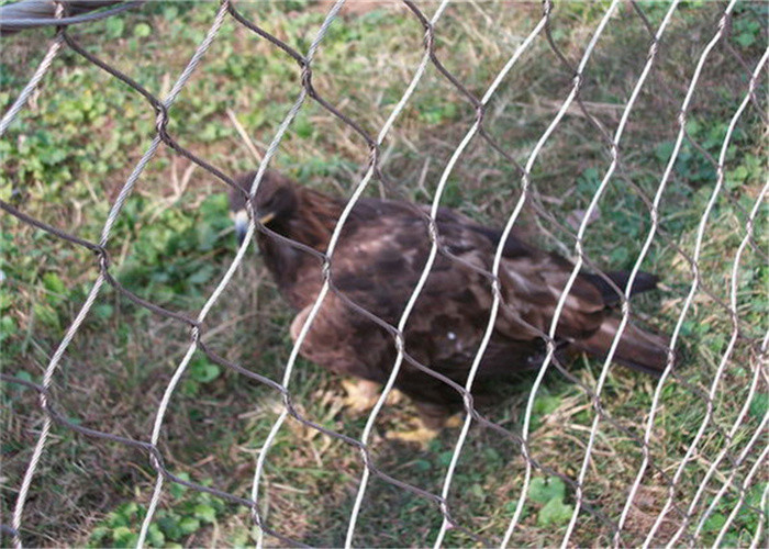 Durable 60x60mm Aviary Wire Mesh 7x7 304 316 SS Woven Wire Mesh