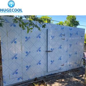 Quality Industrial fish deep-freezer storage of fish meat wholesale